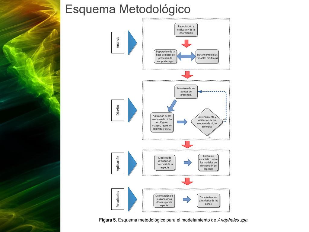 Figura 5. Esquema metodológico para el modelamiento de Anopheles spp.