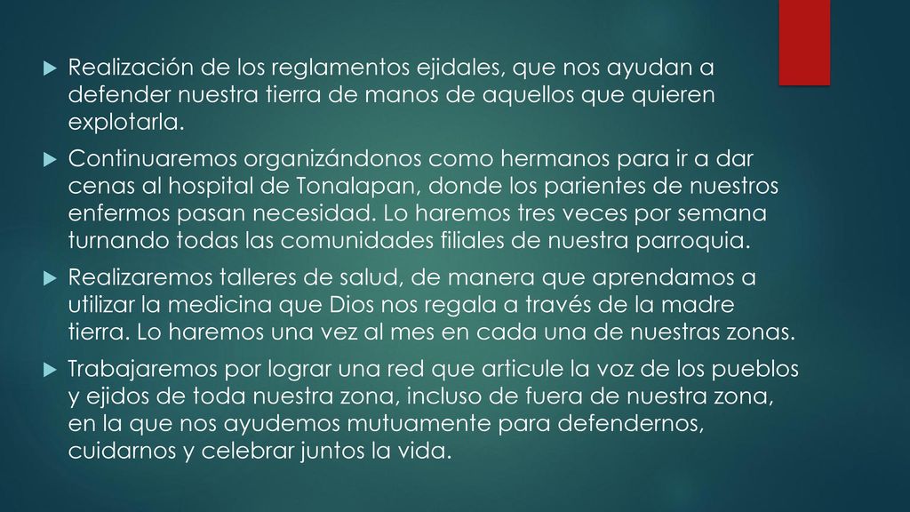 Realización de los reglamentos ejidales, que nos ayudan a defender nuestra tierra de manos de aquellos que quieren explotarla.