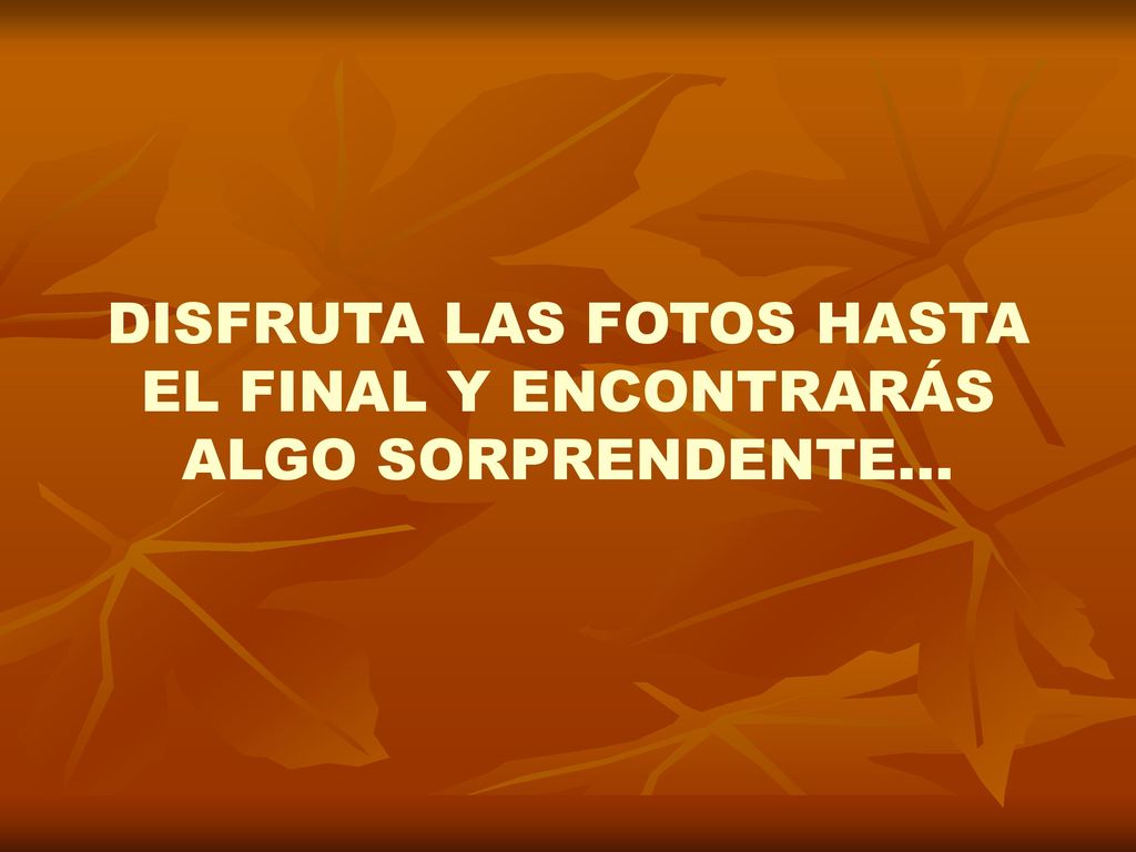 DISFRUTA LAS FOTOS HASTA EL FINAL Y ENCONTRARÁS ALGO SORPRENDENTE…