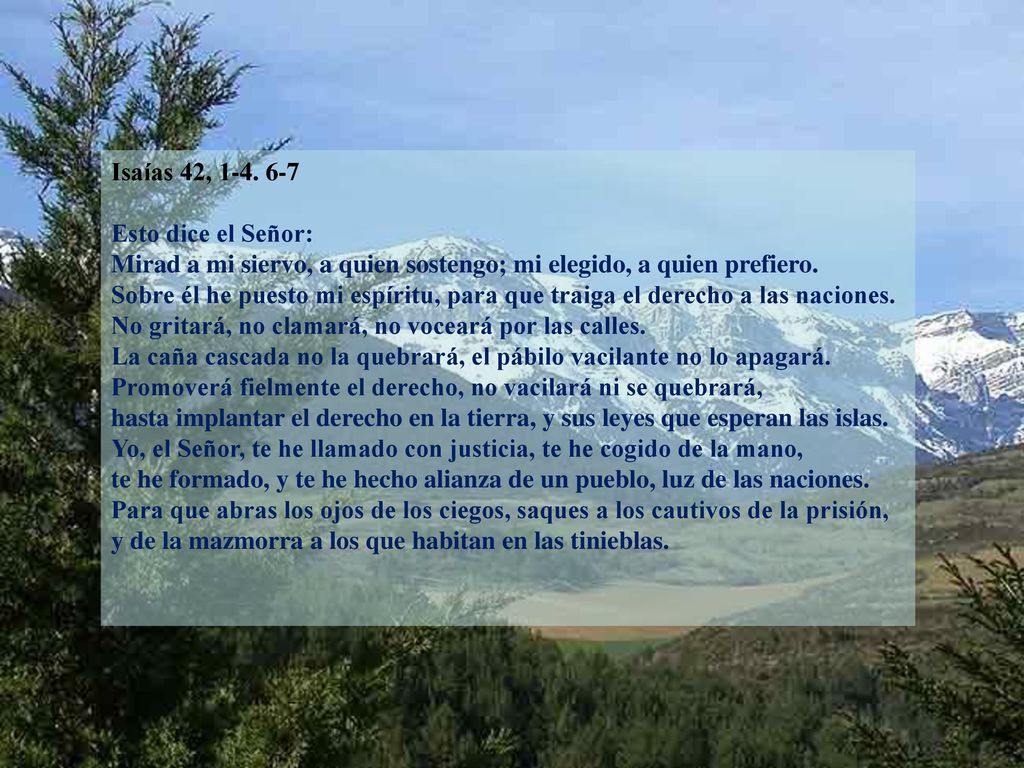 Isaías 42, Esto dice el Señor: Mirad a mi siervo, a quien sostengo; mi elegido, a quien prefiero.