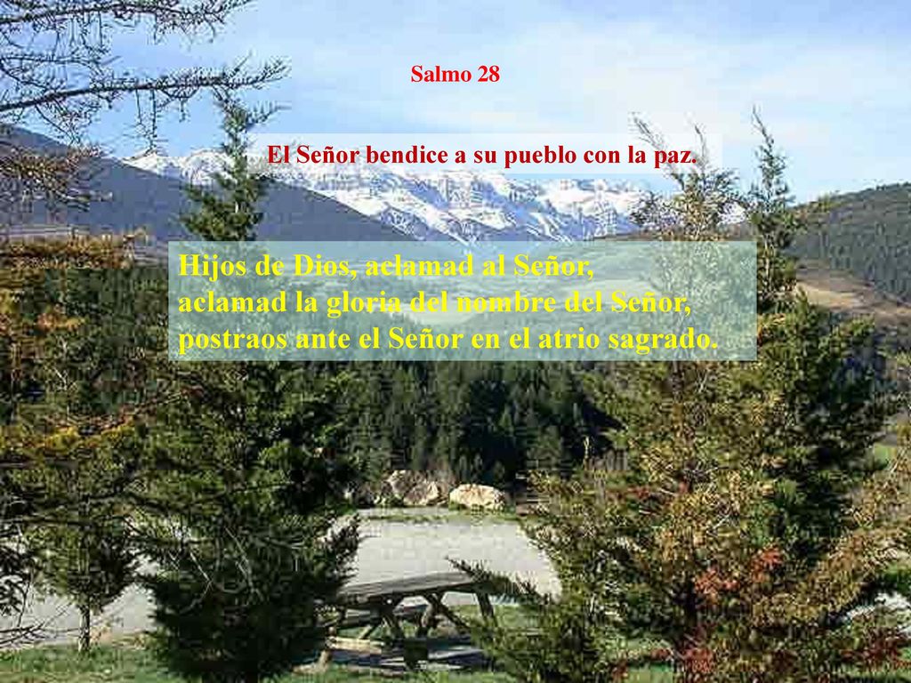 El Señor bendice a su pueblo con la paz.