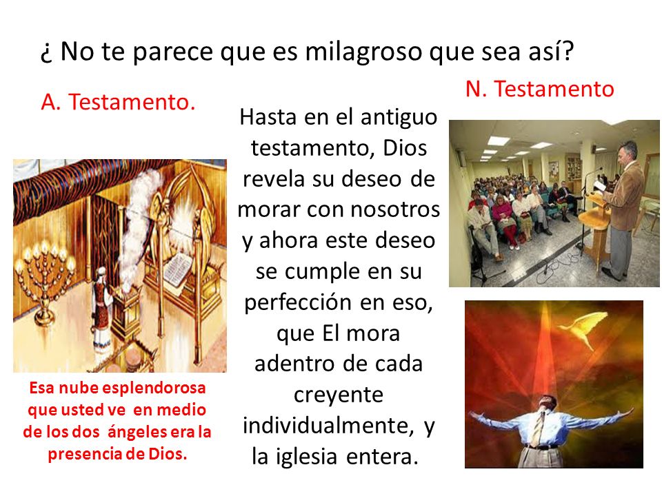 ¿ No te parece que es milagroso que sea así