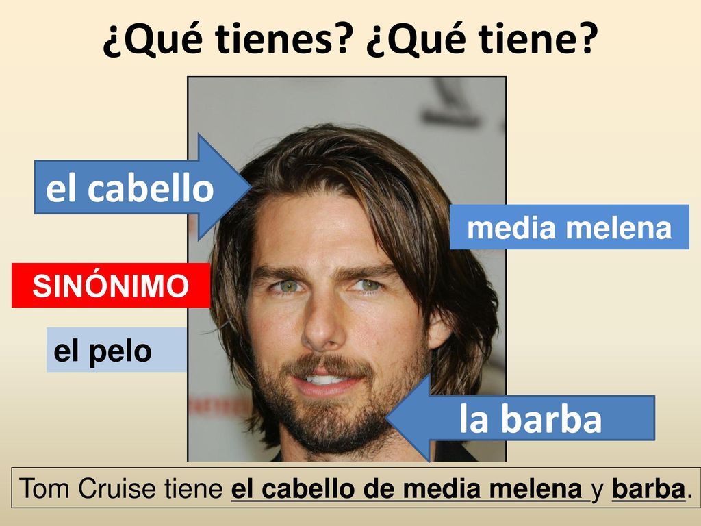 ¿Qué tienes ¿Qué tiene el cabello la barba media melena SINÓNIMO