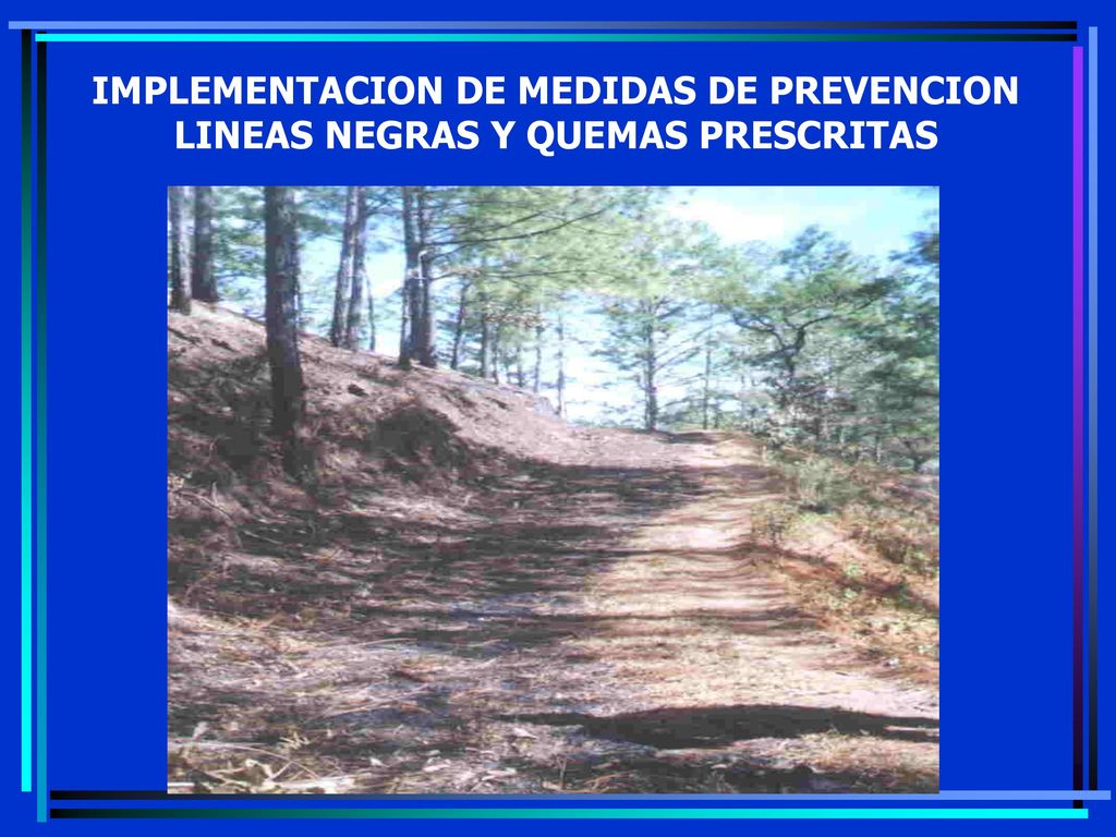 IMPLEMENTACION DE MEDIDAS DE PREVENCION LINEAS NEGRAS Y QUEMAS PRESCRITAS