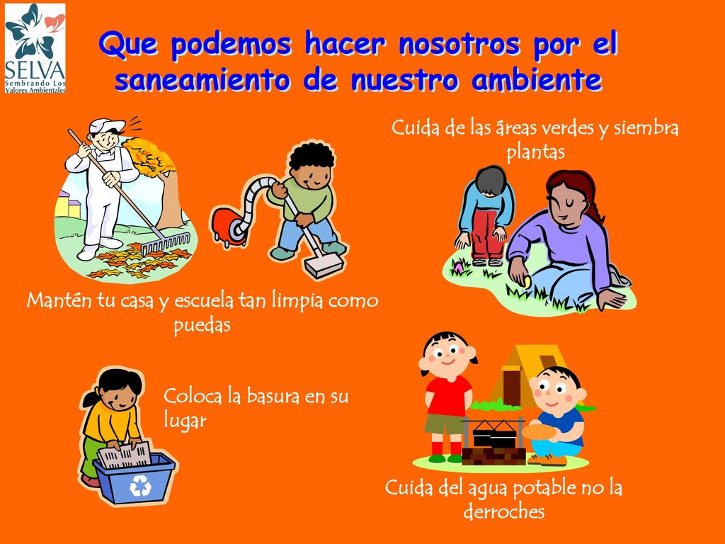 Que podemos hacer nosotros por el saneamiento de nuestro ambiente