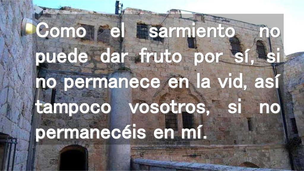 Como el sarmiento no puede dar fruto por sí, si no permanece en la vid, así tampoco vosotros, si no permanecéis en mí.