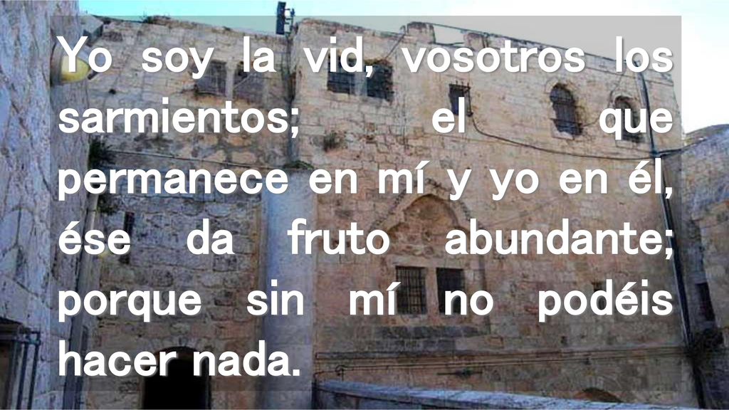 Yo soy la vid, vosotros los sarmientos; el que permanece en mí y yo en él, ése da fruto abundante; porque sin mí no podéis hacer nada.