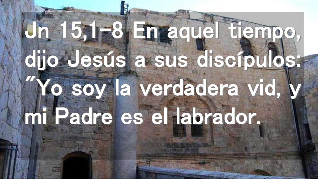 Jn 15,1-8 En aquel tiempo, dijo Jesús a sus discípulos: Yo soy la verdadera vid, y mi Padre es el labrador.
