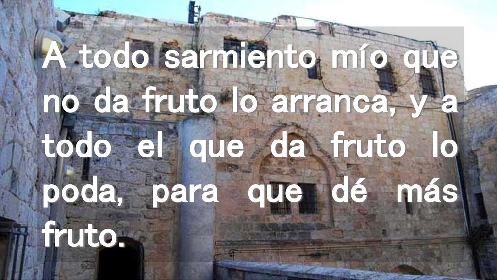 A todo sarmiento mío que no da fruto lo arranca, y a todo el que da fruto lo poda, para que dé más fruto.