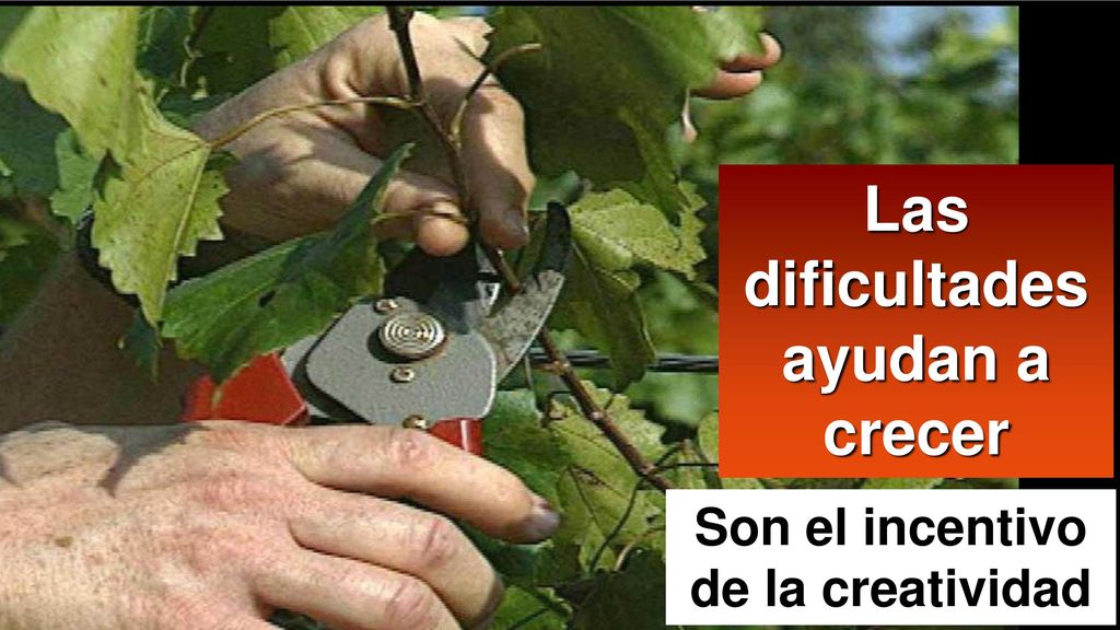 Las dificultades ayudan a crecer Son el incentivo de la creatividad