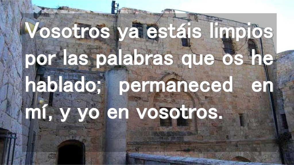 Vosotros ya estáis limpios por las palabras que os he hablado; permaneced en mí, y yo en vosotros.
