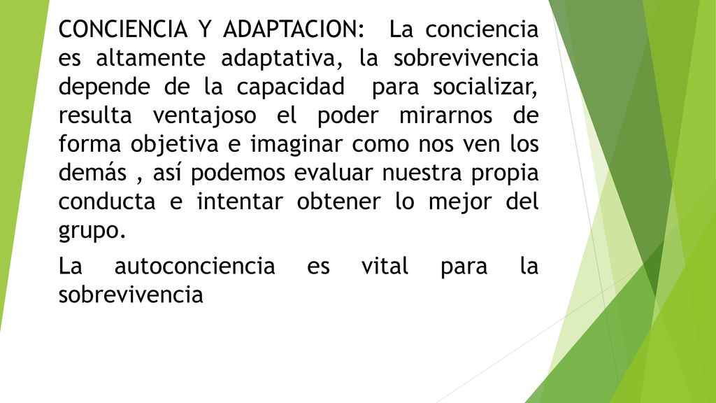 CONCIENCIA Y ADAPTACION: La conciencia es altamente adaptativa, la sobrevivencia depende de la capacidad para socializar, resulta ventajoso el poder mirarnos de forma objetiva e imaginar como nos ven los demás , así podemos evaluar nuestra propia conducta e intentar obtener lo mejor del grupo.