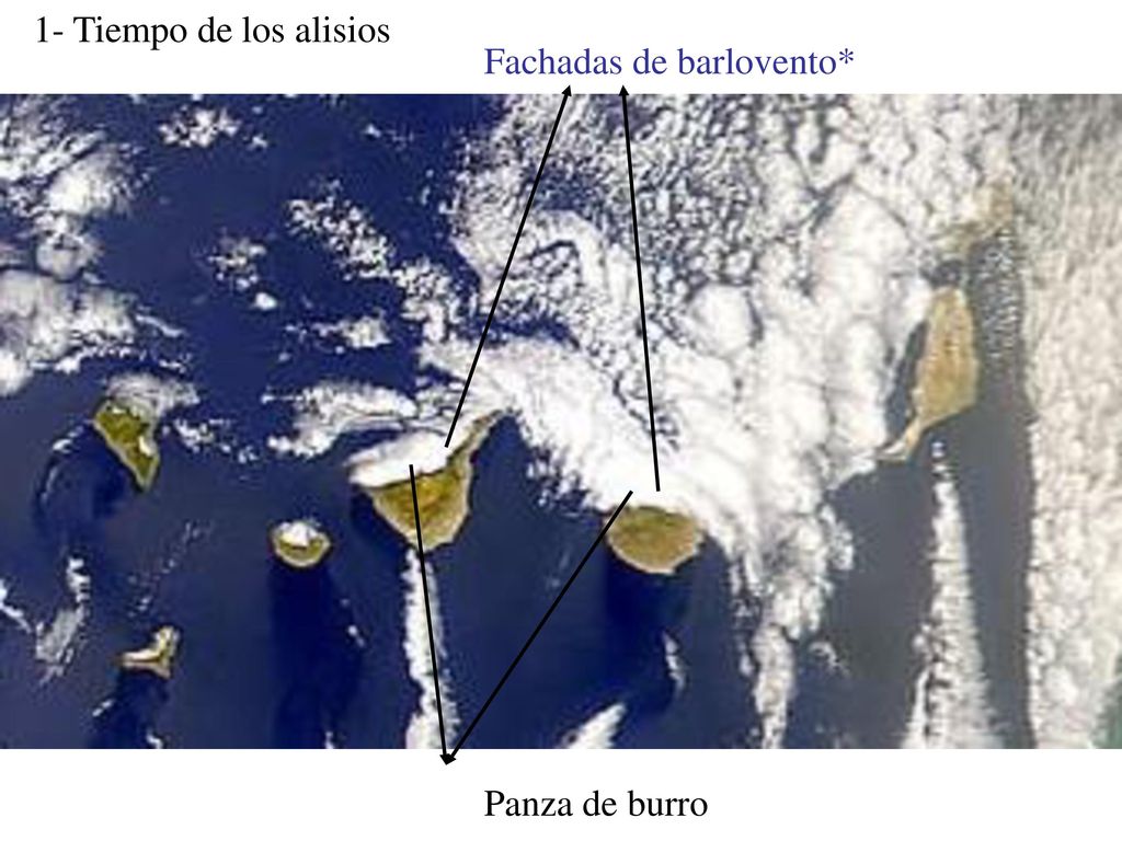 1- Tiempo de los alisios Fachadas de barlovento* Panza de burro