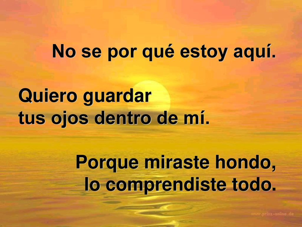 No se por qué estoy aquí. Quiero guardar. tus ojos dentro de mí.