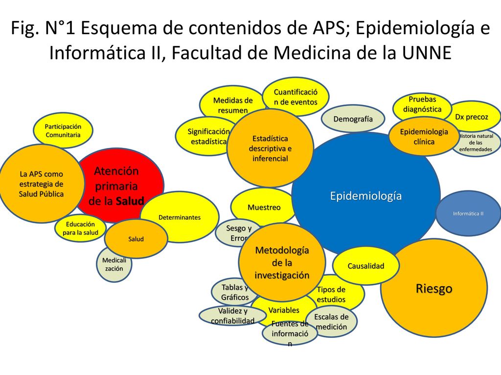 Fig. N°1 Esquema de contenidos de APS; Epidemiología e Informática II, Facultad de Medicina de la UNNE