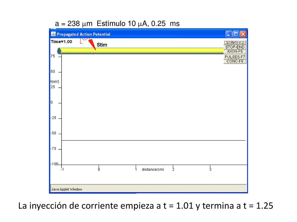 La inyección de corriente empieza a t = 1.01 y termina a t = 1.25