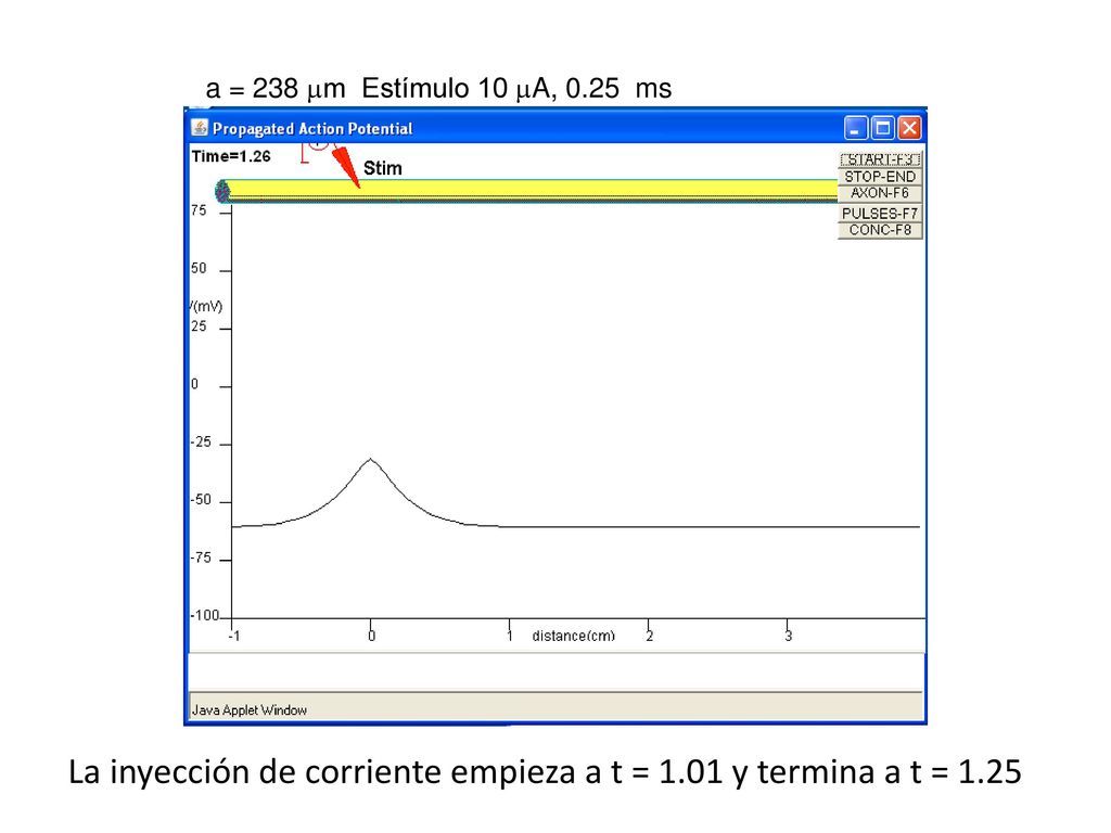 La inyección de corriente empieza a t = 1.01 y termina a t = 1.25