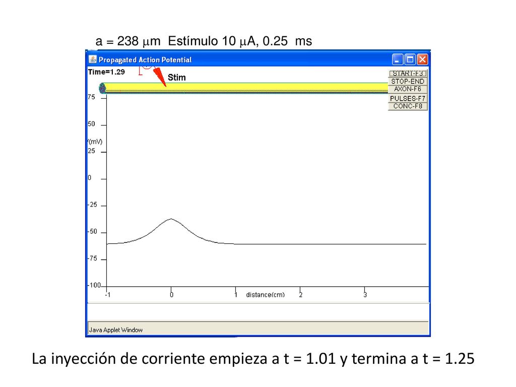 La inyección de corriente empieza a t = 1.01 y termina a t = 1.25