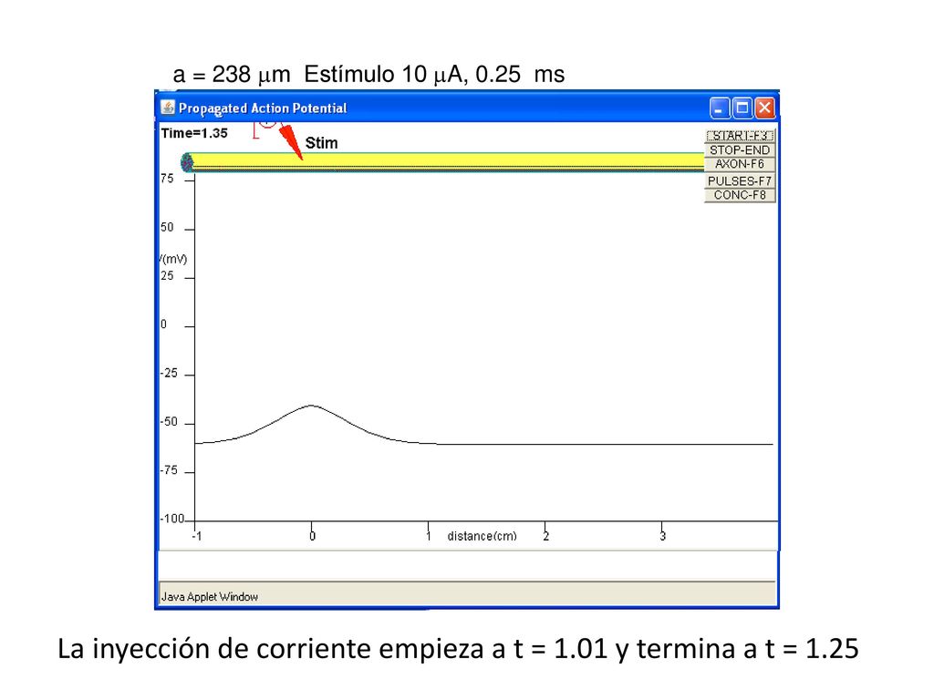 La inyección de corriente empieza a t = 1.01 y termina a t = 1.25
