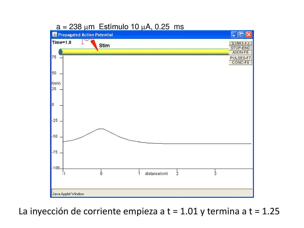 La inyección de corriente empieza a t = 1.01 y termina a t = 1.25