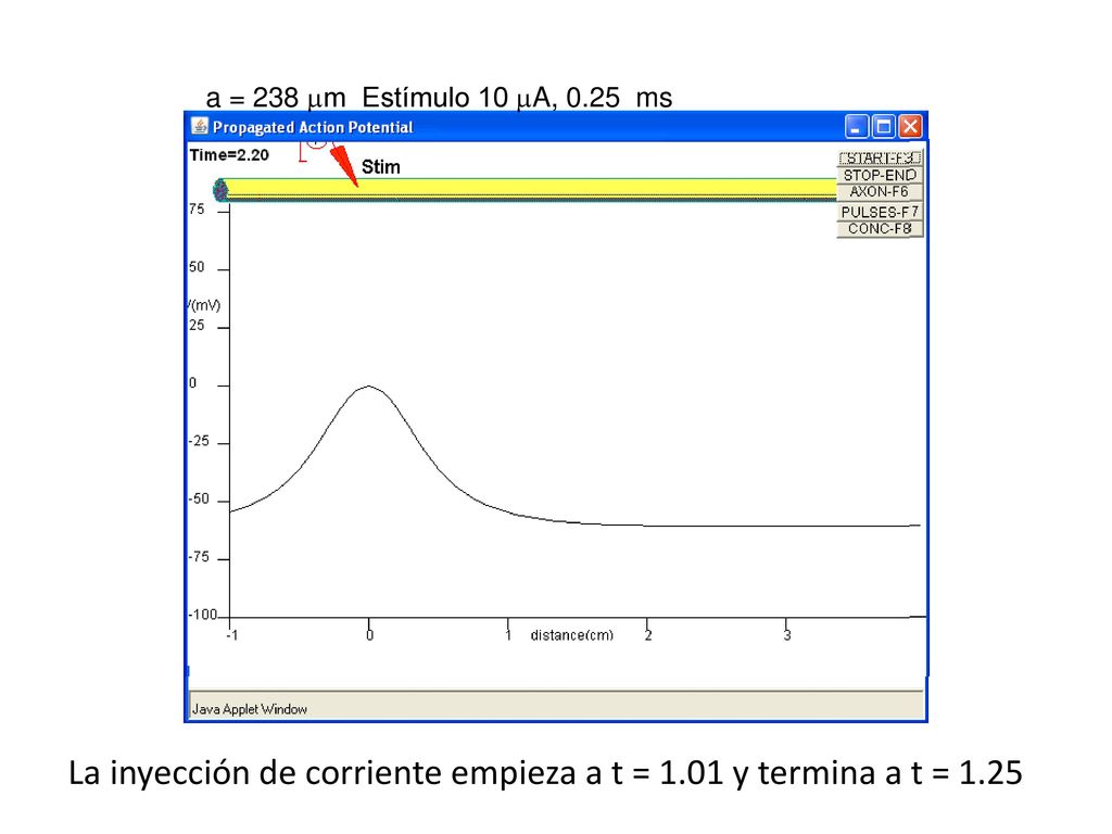 La inyección de corriente empieza a t = 1.01 y termina a t = 1.25