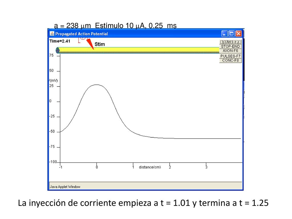 La inyección de corriente empieza a t = 1.01 y termina a t = 1.25