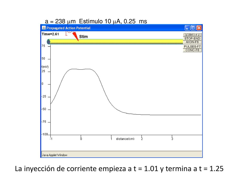 La inyección de corriente empieza a t = 1.01 y termina a t = 1.25