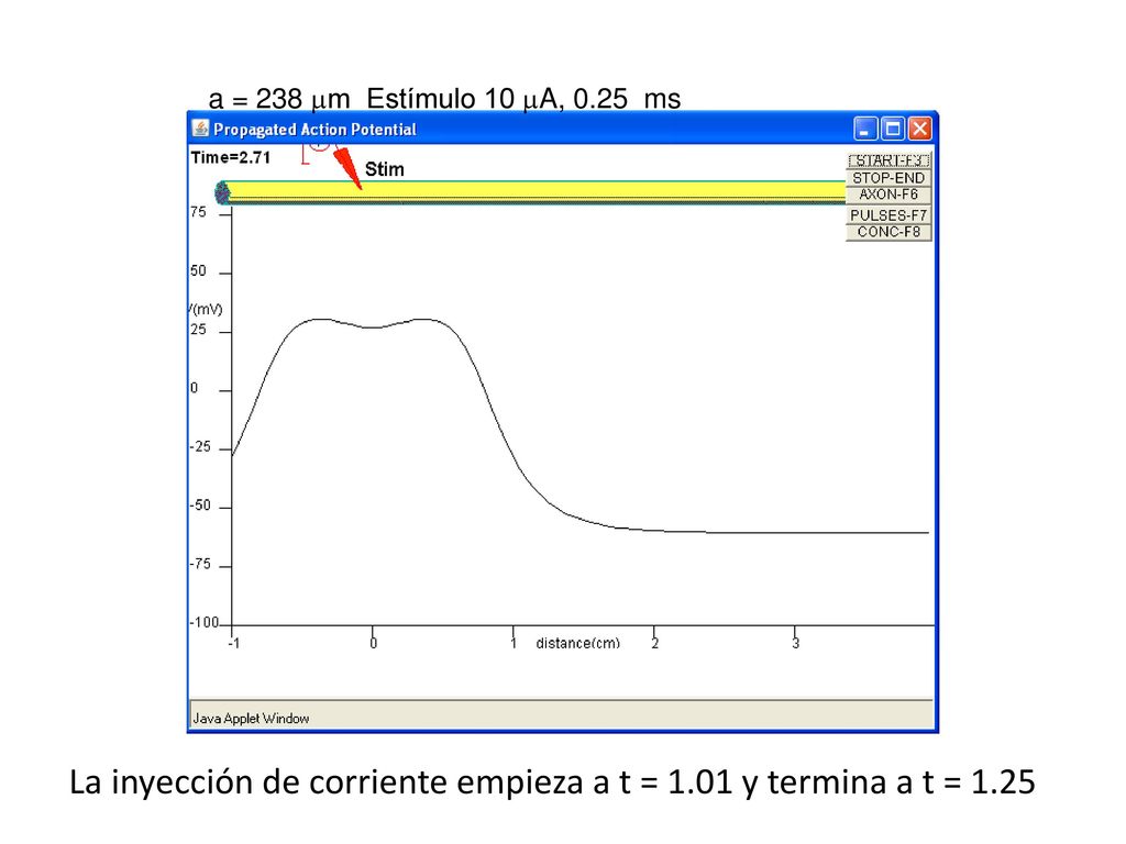 La inyección de corriente empieza a t = 1.01 y termina a t = 1.25
