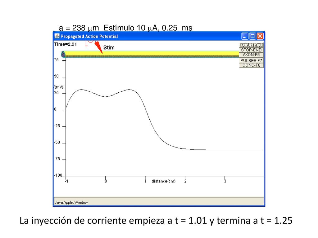 La inyección de corriente empieza a t = 1.01 y termina a t = 1.25