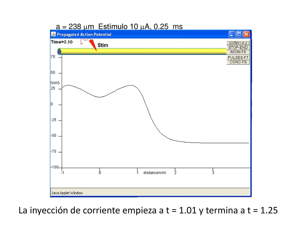 La inyección de corriente empieza a t = 1.01 y termina a t = 1.25
