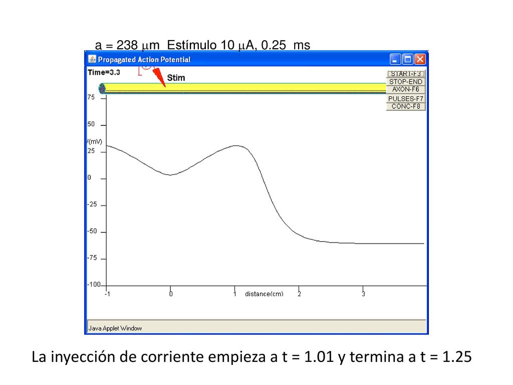 La inyección de corriente empieza a t = 1.01 y termina a t = 1.25