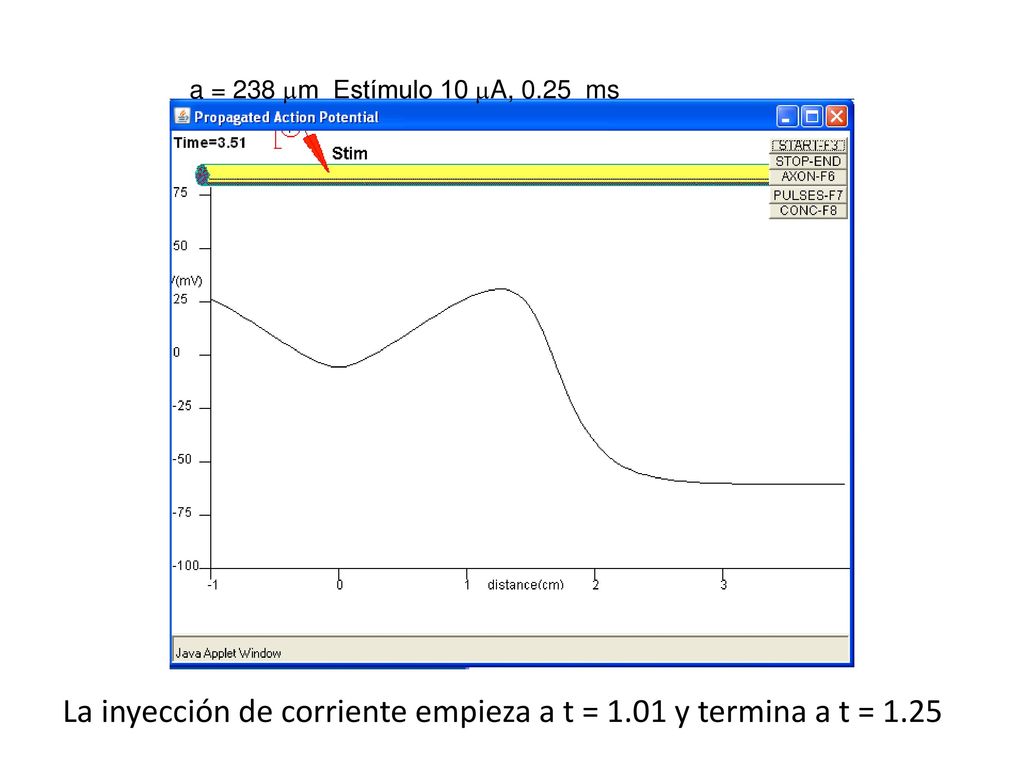 La inyección de corriente empieza a t = 1.01 y termina a t = 1.25