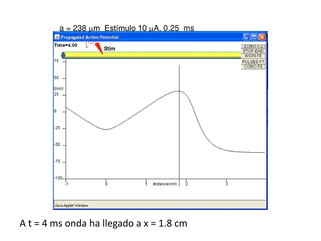 A t = 4 ms onda ha llegado a x = 1.8 cm