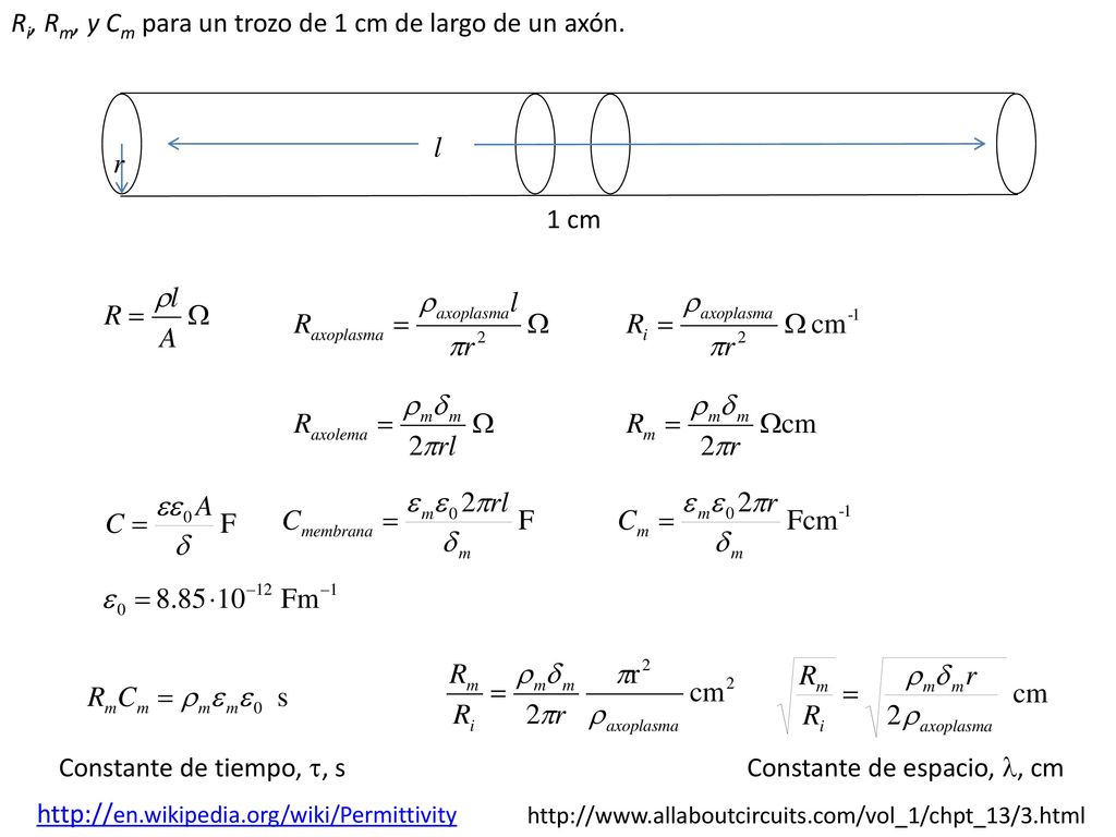 Ri, Rm, y Cm para un trozo de 1 cm de largo de un axón.
