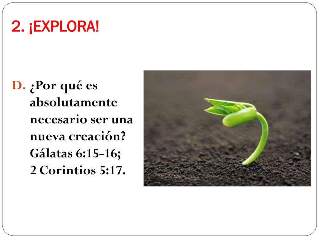 2. ¡EXPLORA. ¿Por qué es absolutamente necesario ser una nueva creación.
