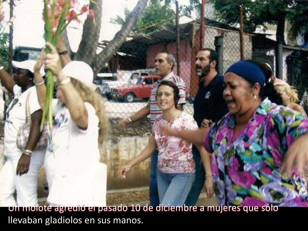 Un molote agredió el pasado 10 de diciembre a mujeres que sólo llevaban gladiolos en sus manos.