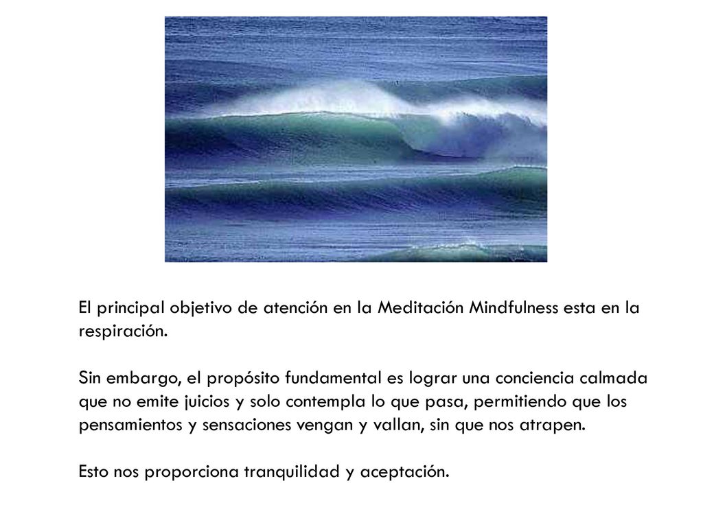 El principal objetivo de atención en la Meditación Mindfulness esta en la respiración.