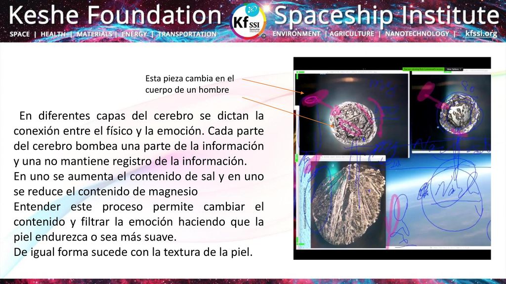 De igual forma sucede con la textura de la piel.