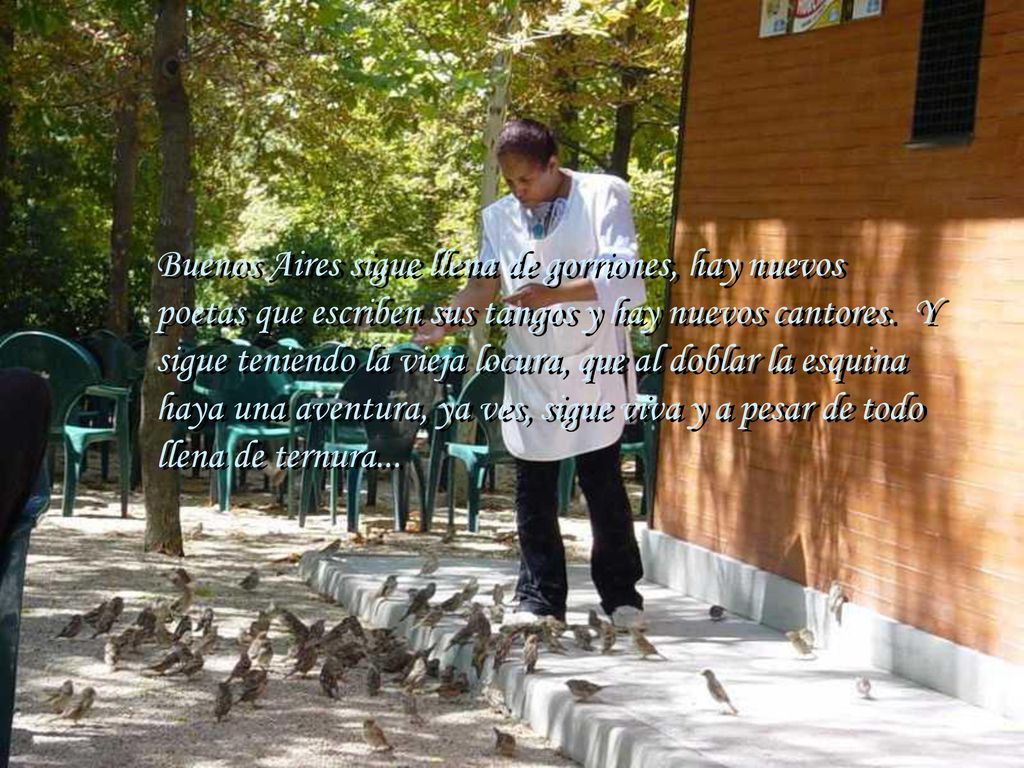 Buenos Aires sigue llena de gorriones, hay nuevos poetas que escriben sus tangos y hay nuevos cantores.