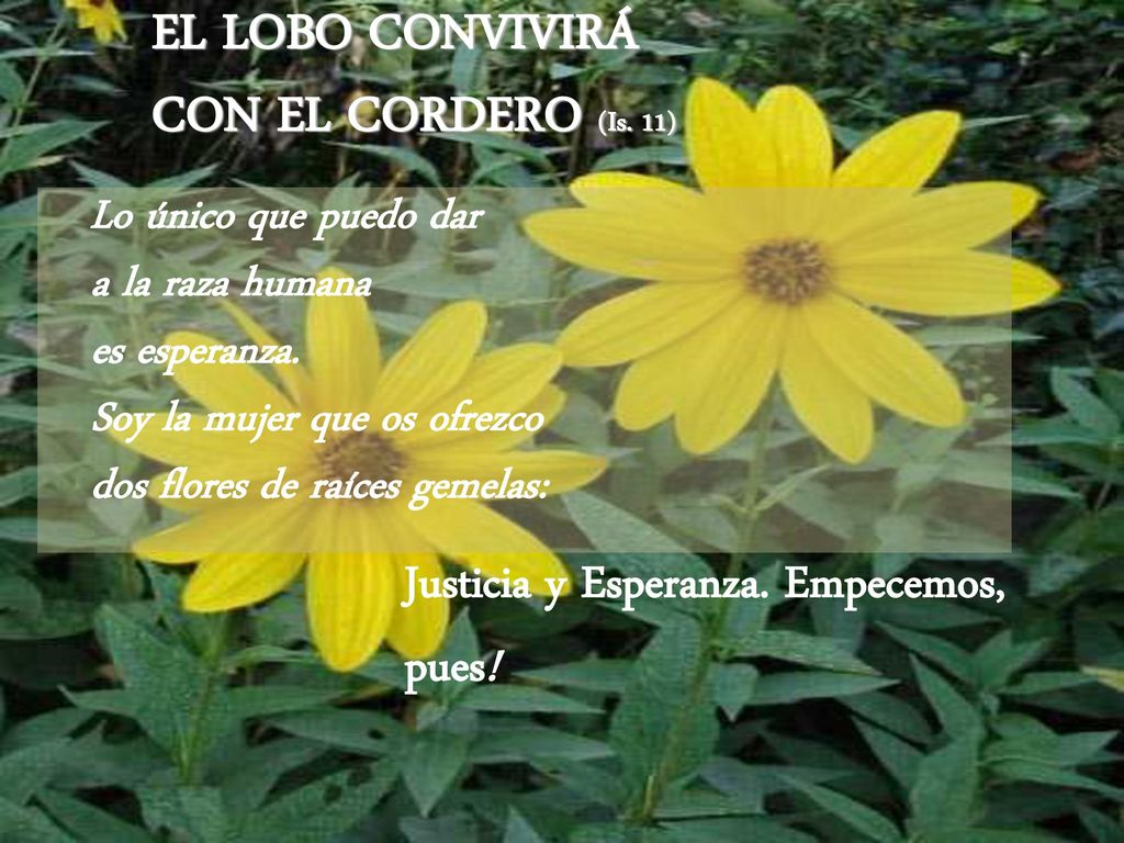 EL LOBO CONVIVIRÁ CON EL CORDERO (Is. 11)