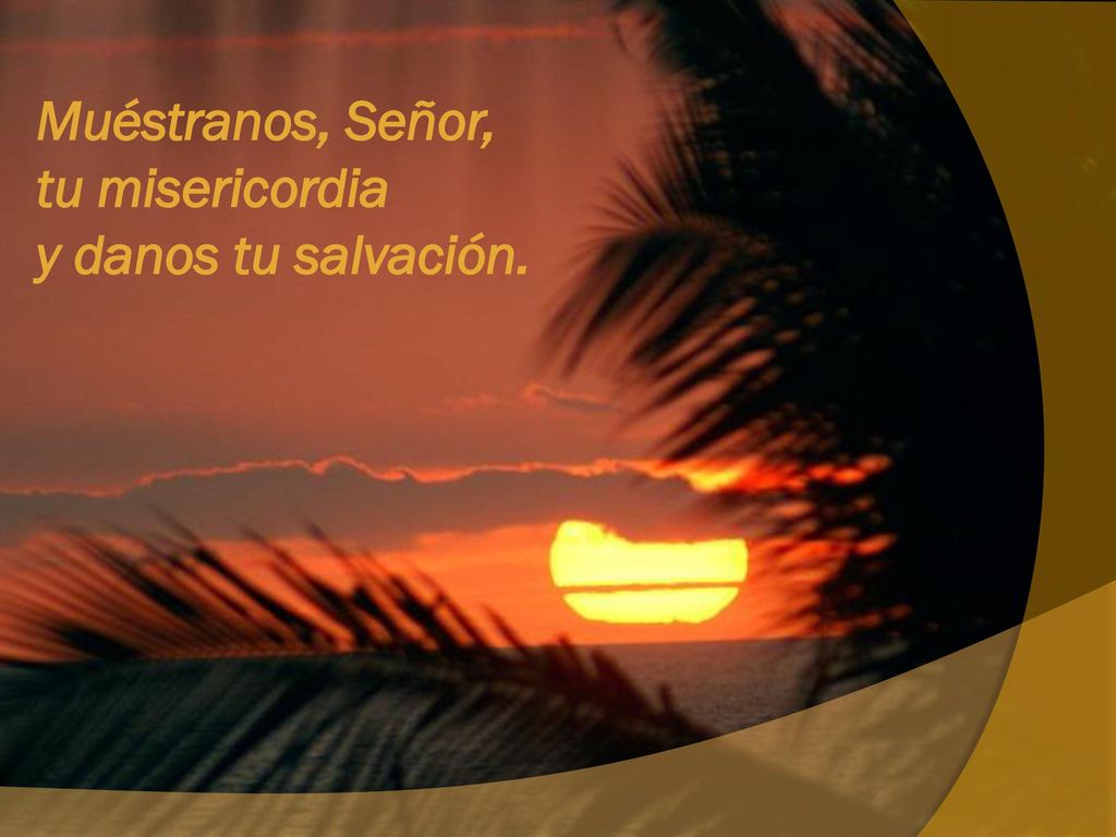 Muéstranos, Señor, tu misericordia y danos tu salvación.