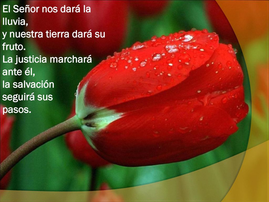 El Señor nos dará la lluvia, y nuestra tierra dará su fruto