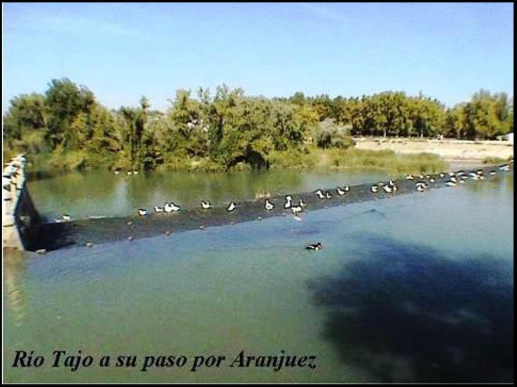 El Paisaje Cultural de Aranjuez fue declarado Patrimonio de la Humanidad por la UNESCO en 2001.