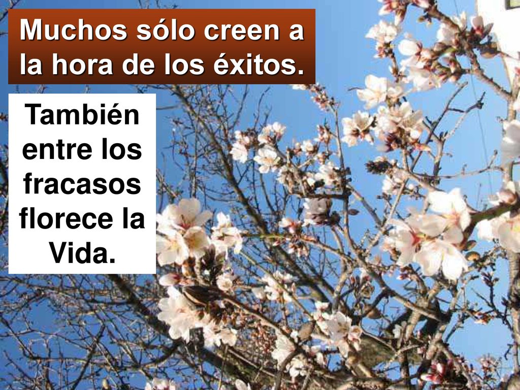 Muchos sólo creen a la hora de los éxitos.