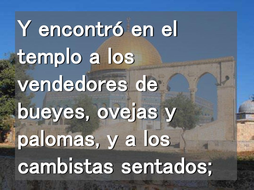 Y encontró en el templo a los vendedores de bueyes, ovejas y palomas, y a los cambistas sentados;