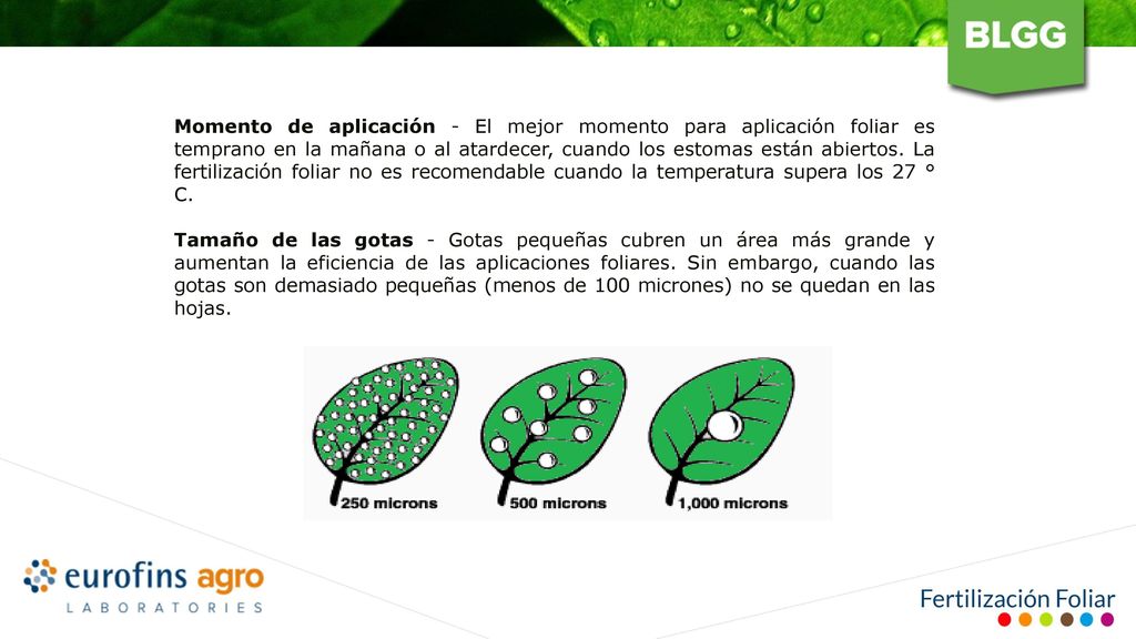 Momento de aplicación - El mejor momento para aplicación foliar es temprano en la mañana o al atardecer, cuando los estomas están abiertos. La fertilización foliar no es recomendable cuando la temperatura supera los 27 ° C.