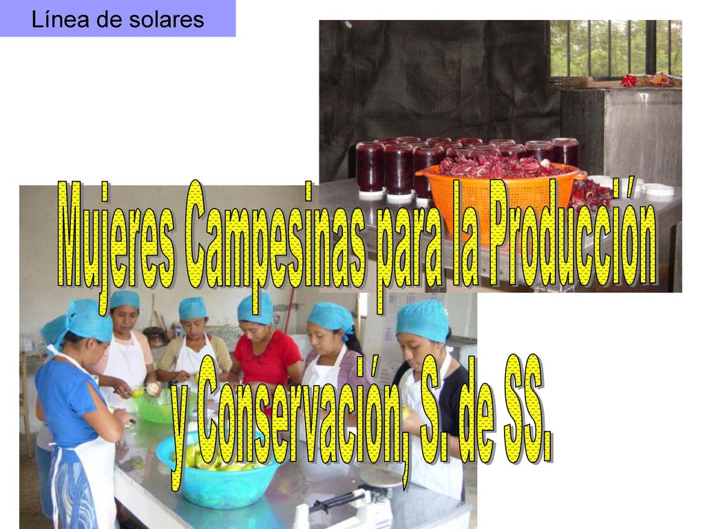 Mujeres Campesinas para la Producción y Conservación, S. de SS.