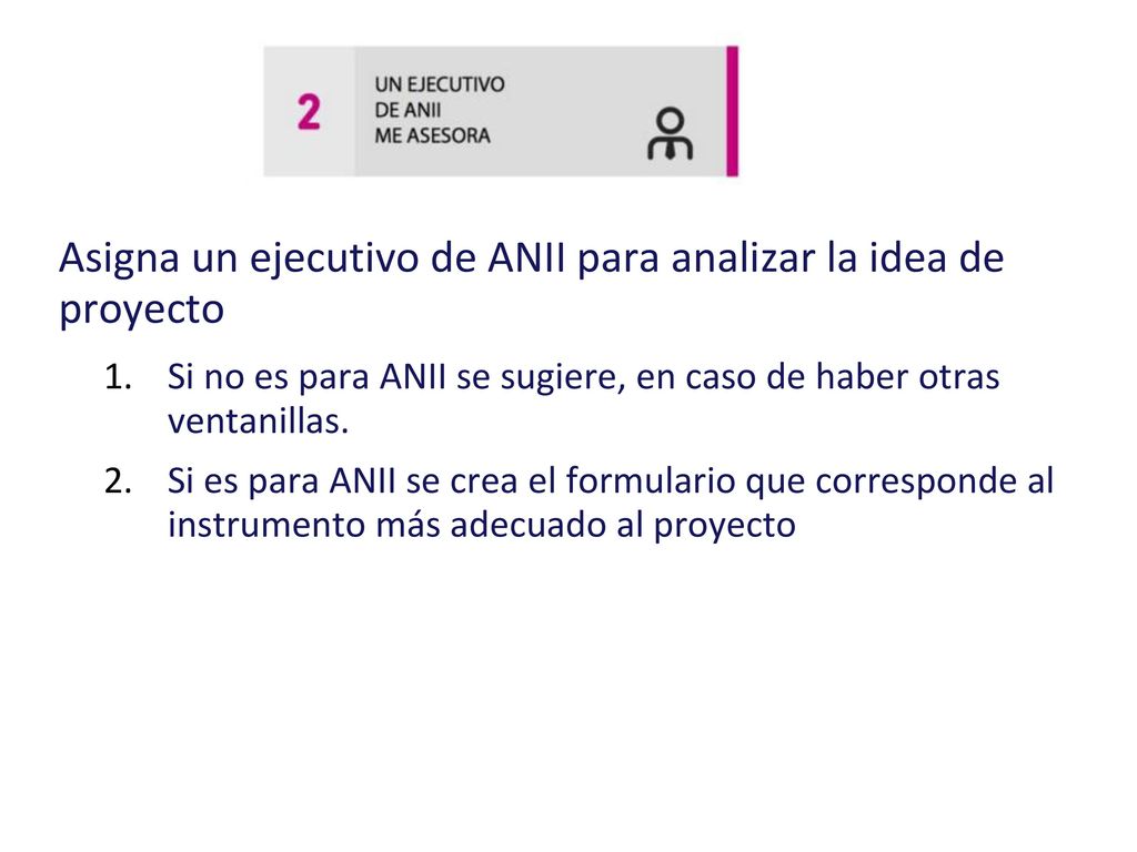 Asigna un ejecutivo de ANII para analizar la idea de proyecto