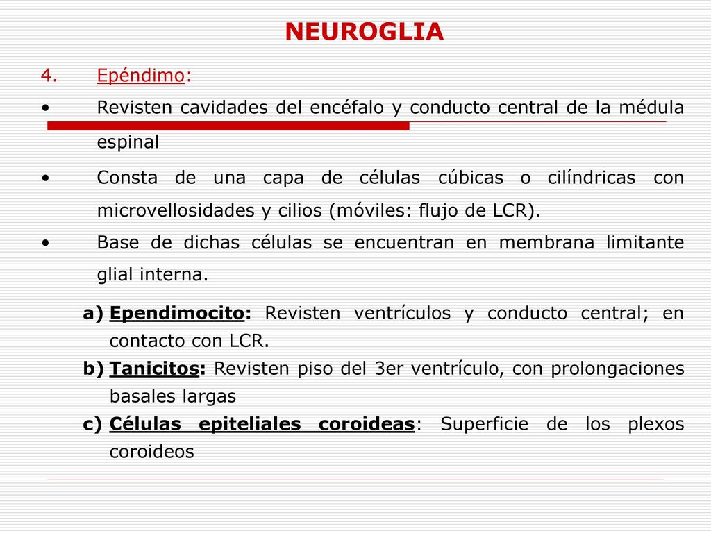 NEUROGLIA 4. Epéndimo: Revisten cavidades del encéfalo y conducto central de la médula espinal.