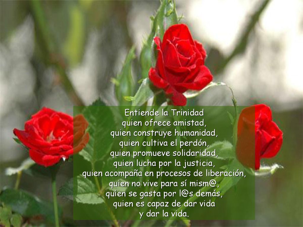 Entiende la Trinidad quien ofrece amistad, quien construye humanidad, quien cultiva el perdón, quien promueve solidaridad, quien lucha por la justicia, quien acompaña en procesos de liberación, quien no vive para sí quien se gasta por demás, quien es capaz de dar vida y dar la vida.